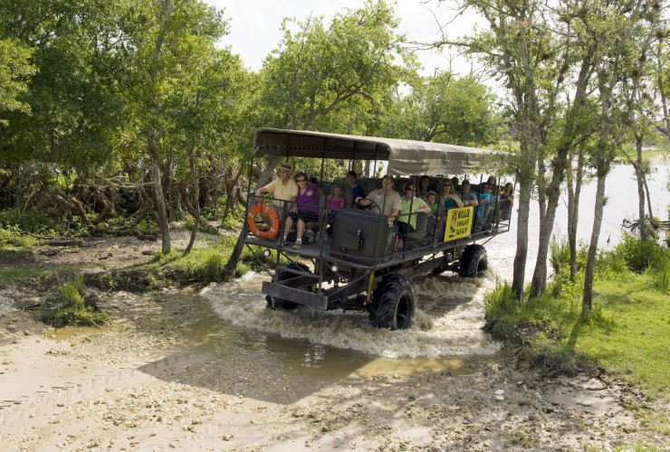 swamp buggy tours everglades